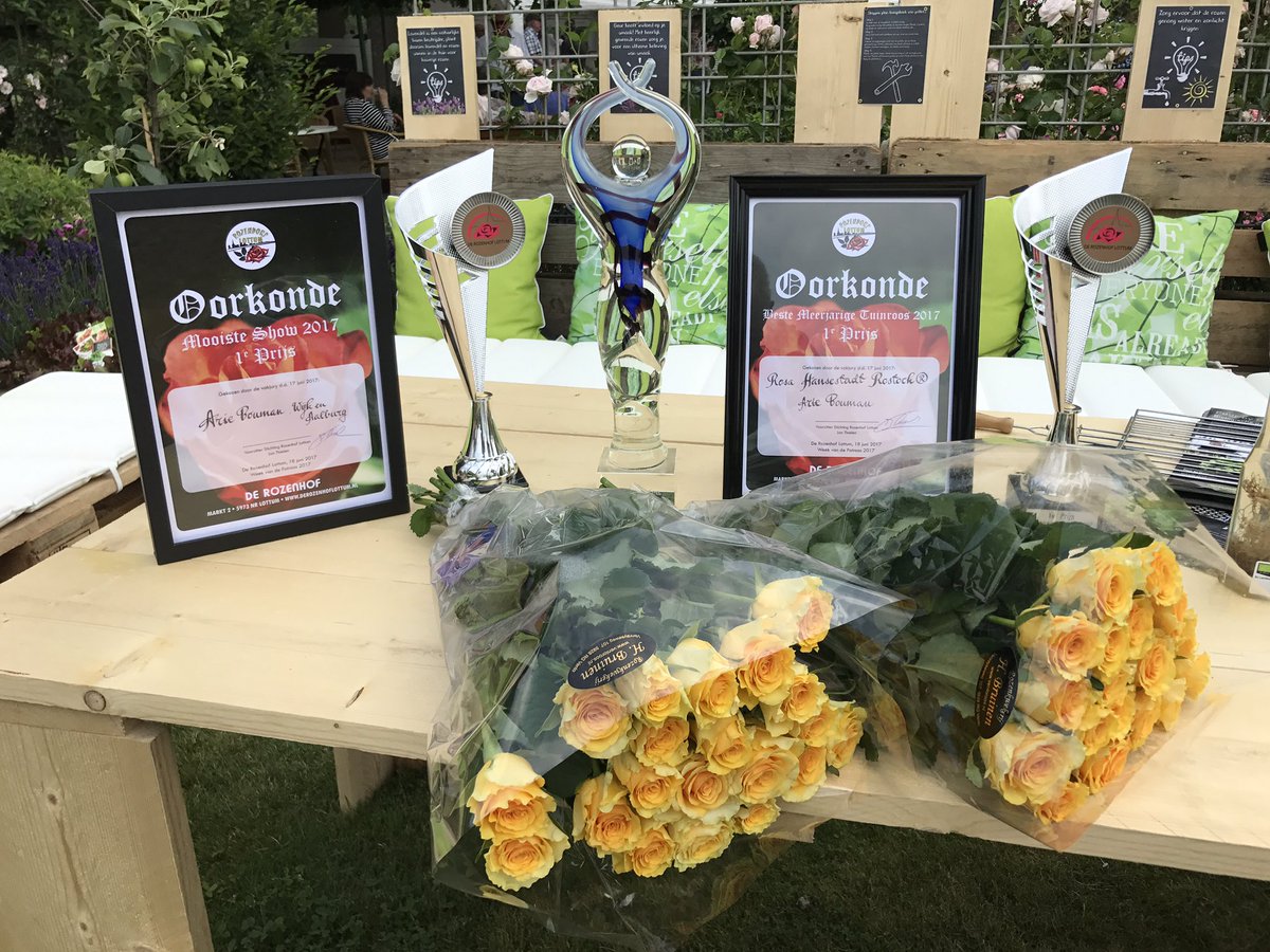 OutdoorRoses's tweet photo. 1e prijs behaald met 'Rosa Hansestadt Rostock' van Rosen Tantau in categorie "Beste Potroos" in 'De Rozenhof' in #lottum #roses #roos https://t.co/hA4qX3woEQ