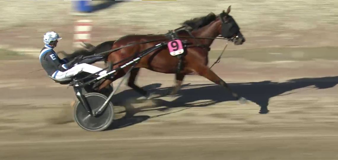 Joe_Zagari's tweet photo. #VampKronos 🇮🇹 #ReadyCash #Riordan won @E3trav Mare Qualification in @farjestadstrav with @StallCE in 1.13.4 over #VioletBi https://t.co/tg9X3pJB2W
