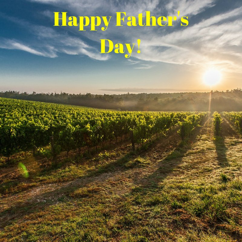 cagrownofficial's tweet photo. Happy #FathersDay to all the awesome #CAGROWN farmers and dads who are raising the next generation of growers! https://t.co/UVNfj2yoMB