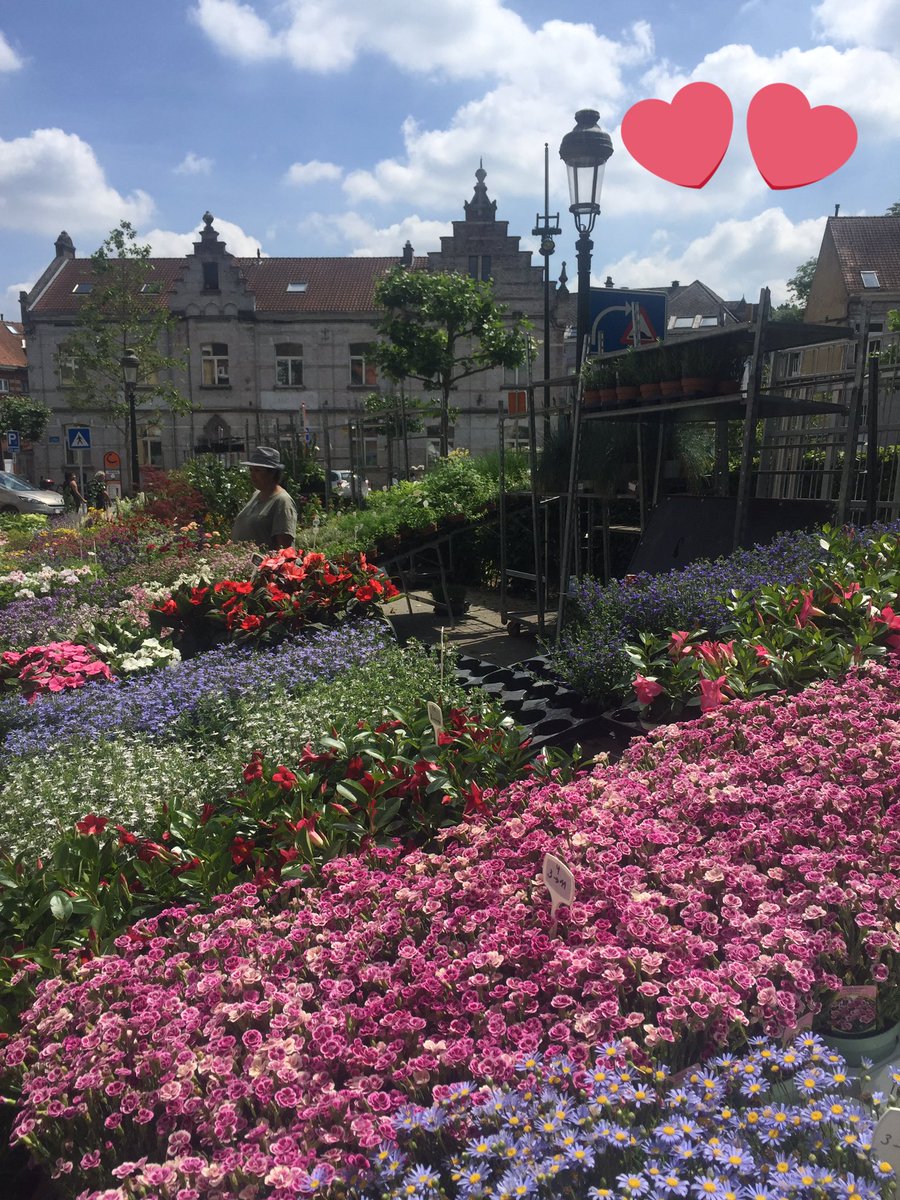 fabiaanja's tweet photo. Nibbles &amp; natter at Boitsfort market with @clarke_sophie #Googlelocalguide #lapoulequiroule #princess #rivellatime https://t.co/RukqM1ejl7