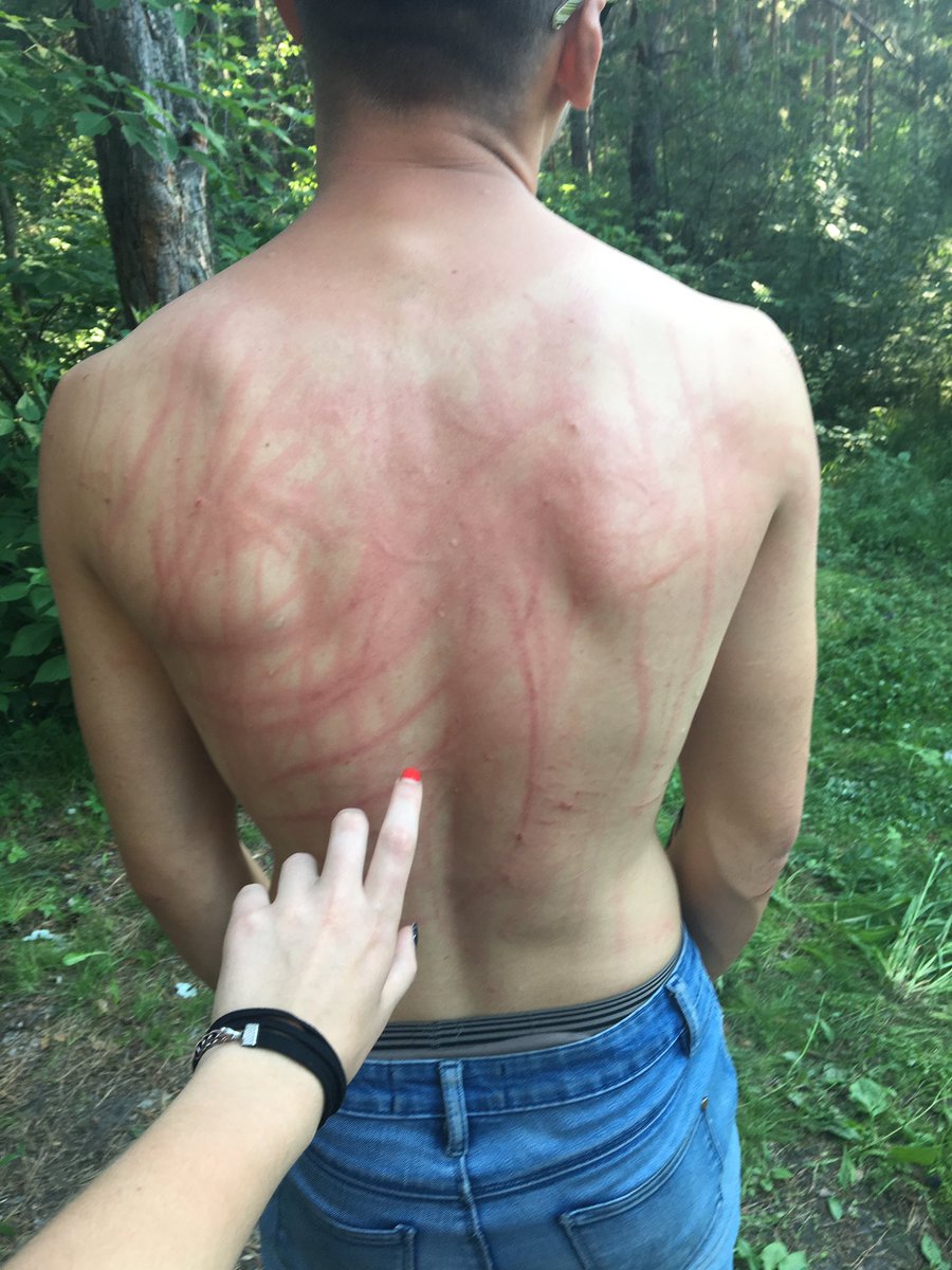 Mike6125's tweet image. Спасибо вам за сегодня❤️