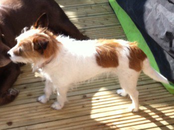 Ba13 Hashtag On Twitter