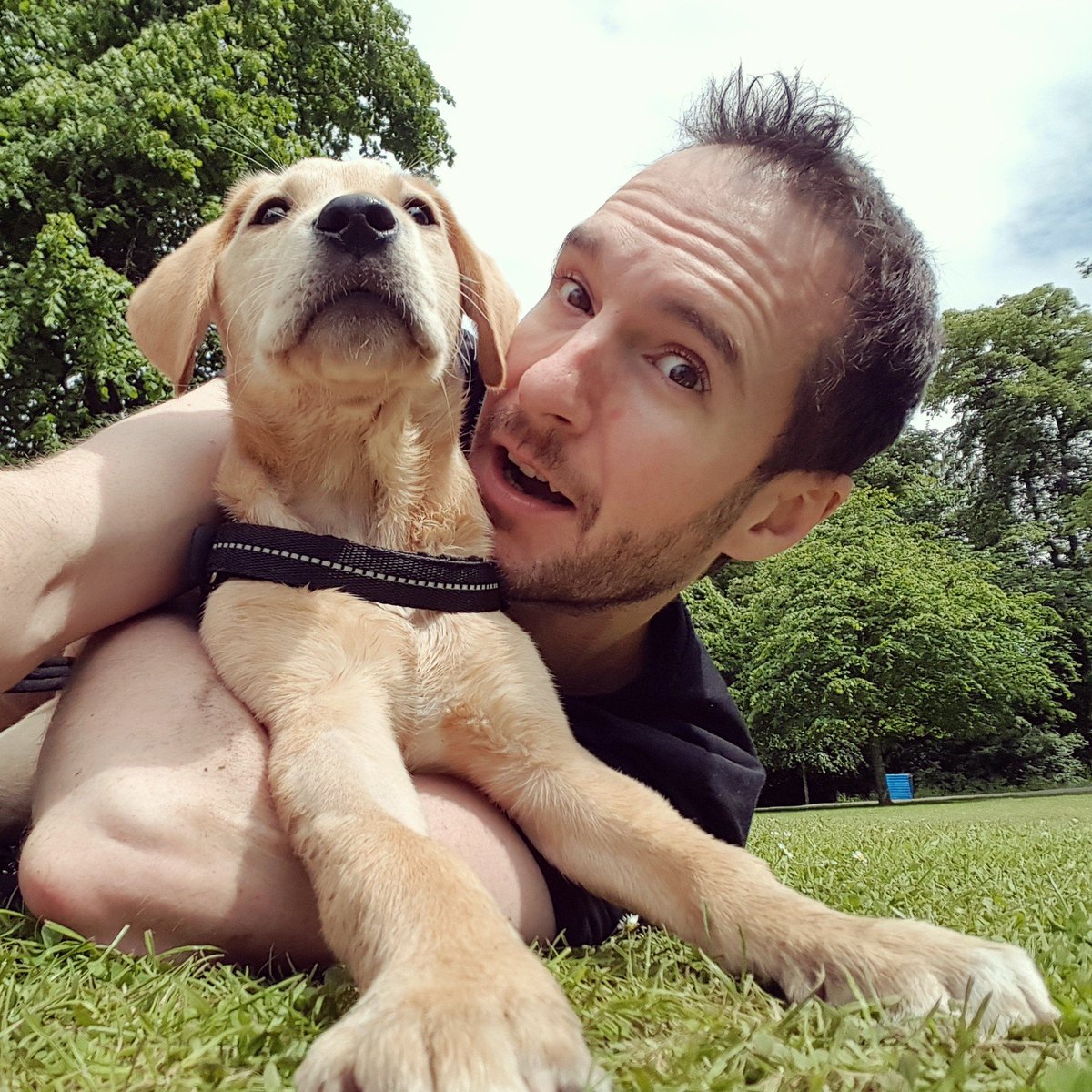 finlaypup's tweet photo. Daddy @gunkit took me to Rouken Glen to splash in the stream, play with Joffrey the dog meet @glasgow_food #puppy #parklife https://t.co/HjOddQAtNx