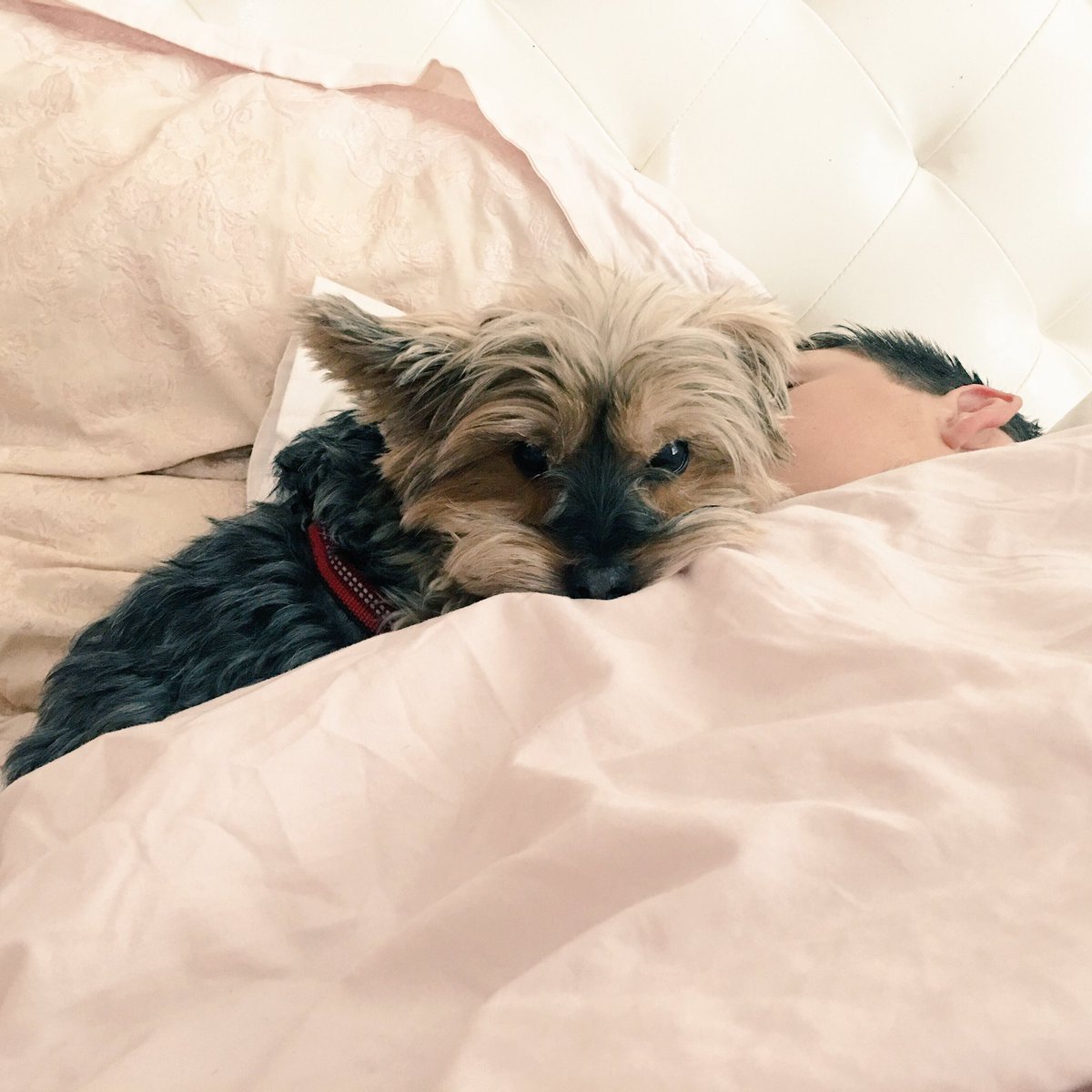 gabcake's tweet photo. #happydaddyday 😭 she never sleeps like this omg 😭😍😭😂 https://t.co/4JtTLInBar