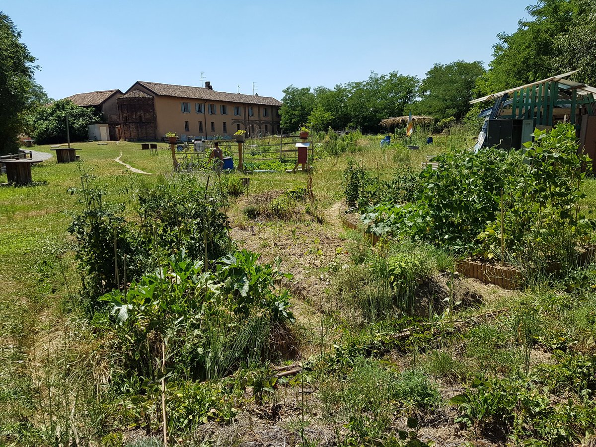 EmilevanRinsum's tweet photo. Op bezoek bij #urbanfarm #Cascinet in #Milaan ...
#farmingthecity #milanoarchweek ... het was leuk, veel mensen ontmoet die 't zelfde doen! https://t.co/DjzP8kj7mk