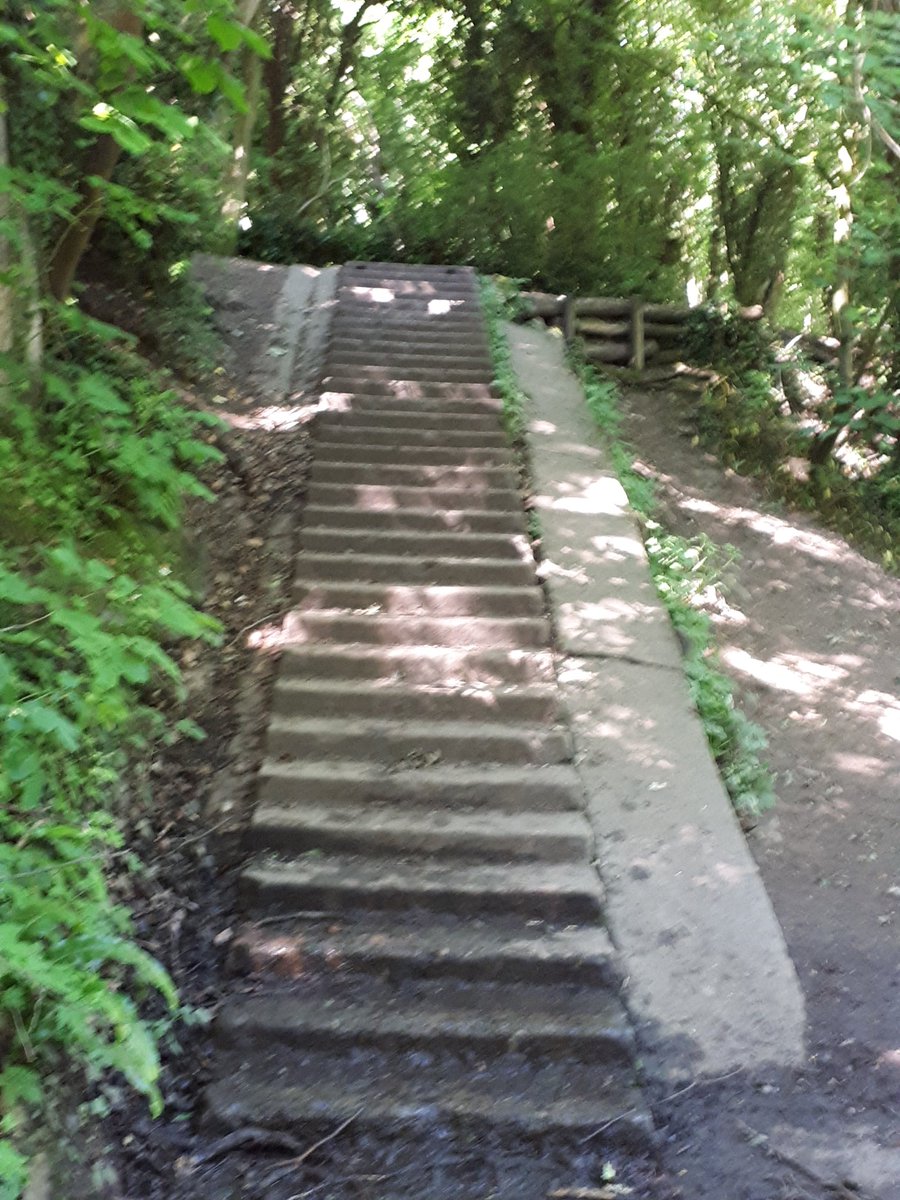 RiponCityKen's tweet photo. Down by the river 😎🌞 #Skell #Laver #Walks #RusticBridge #FairySteps #SundayMorning  #LoveRipon ❤💙 https://t.co/Ny0Dl8ueZs