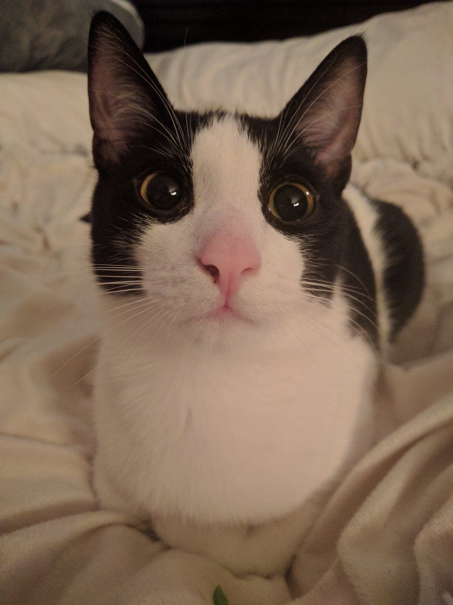 Interstate Kate tweet media