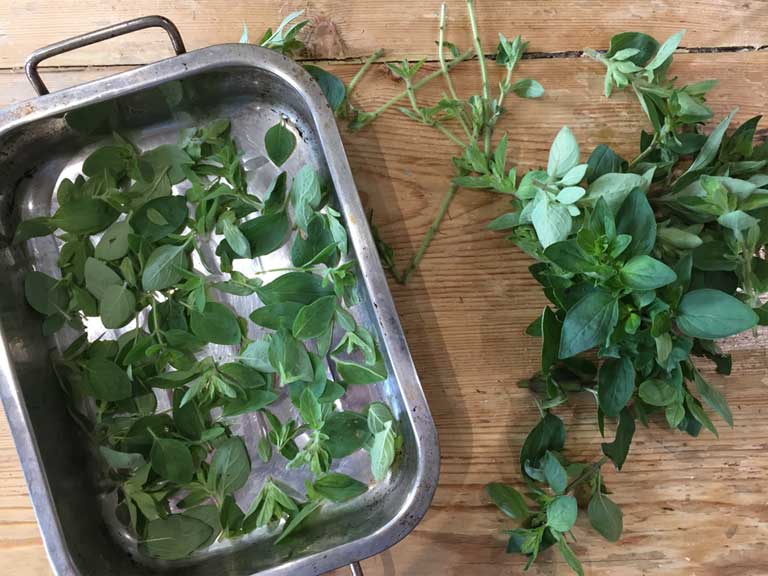 So that’s what the fan only setting’s for….drying oregano
tinyurl.com/y8jrgvm4
#saga