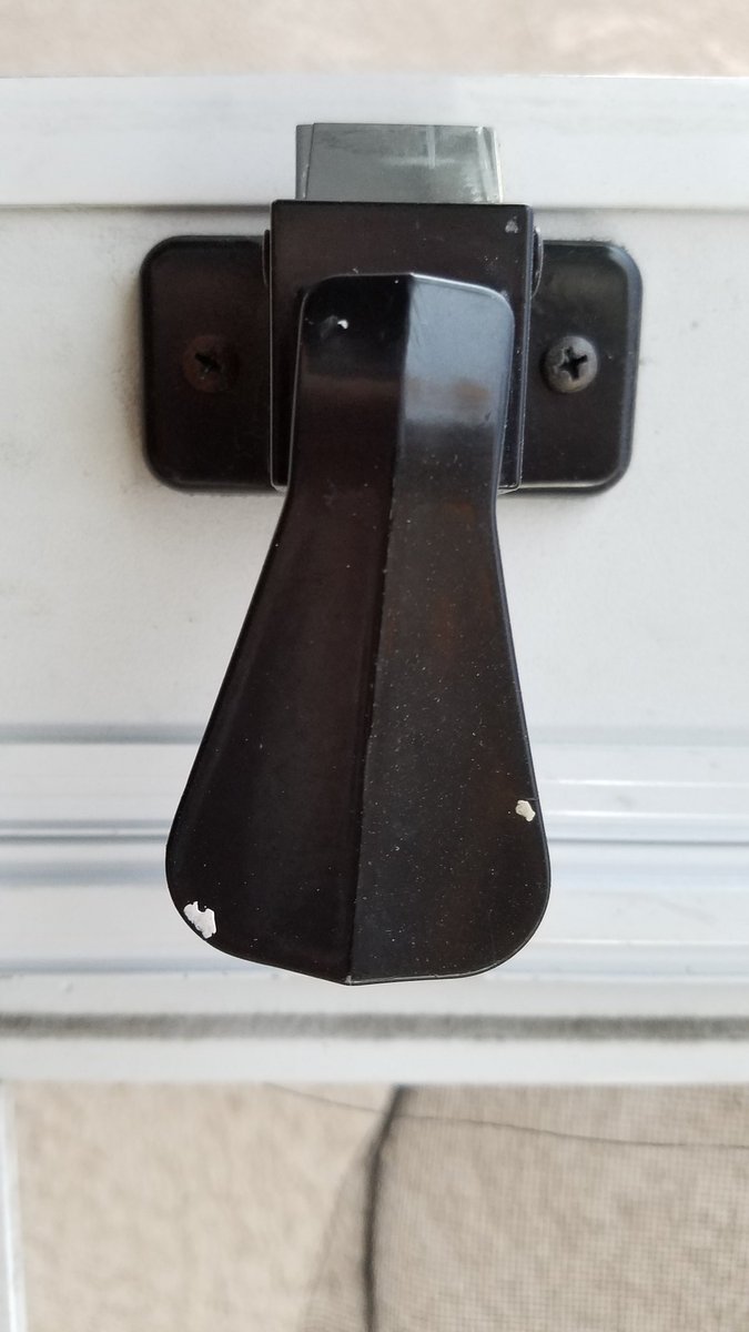 FoundAFace's tweet image. #foundaplatypus #foundaface