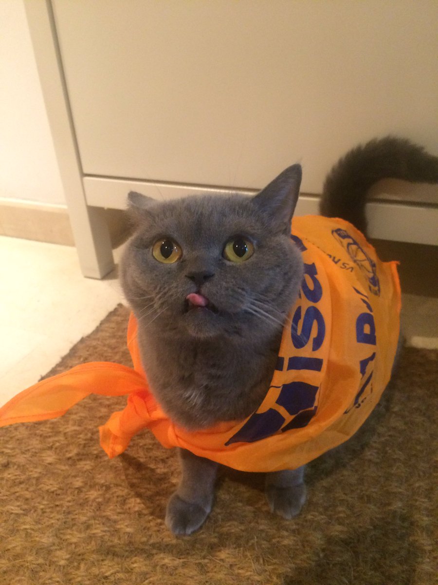 ManuelBarroso's tweet photo. Umm😻el sabor de la victoria!Gracias! @valenciabasket @Pinturas_Isaval #CampionsdeLliga #titaanima #PlayoffLigaEndesa #LigaEndesa https://t.co/nvxsm4HGdc