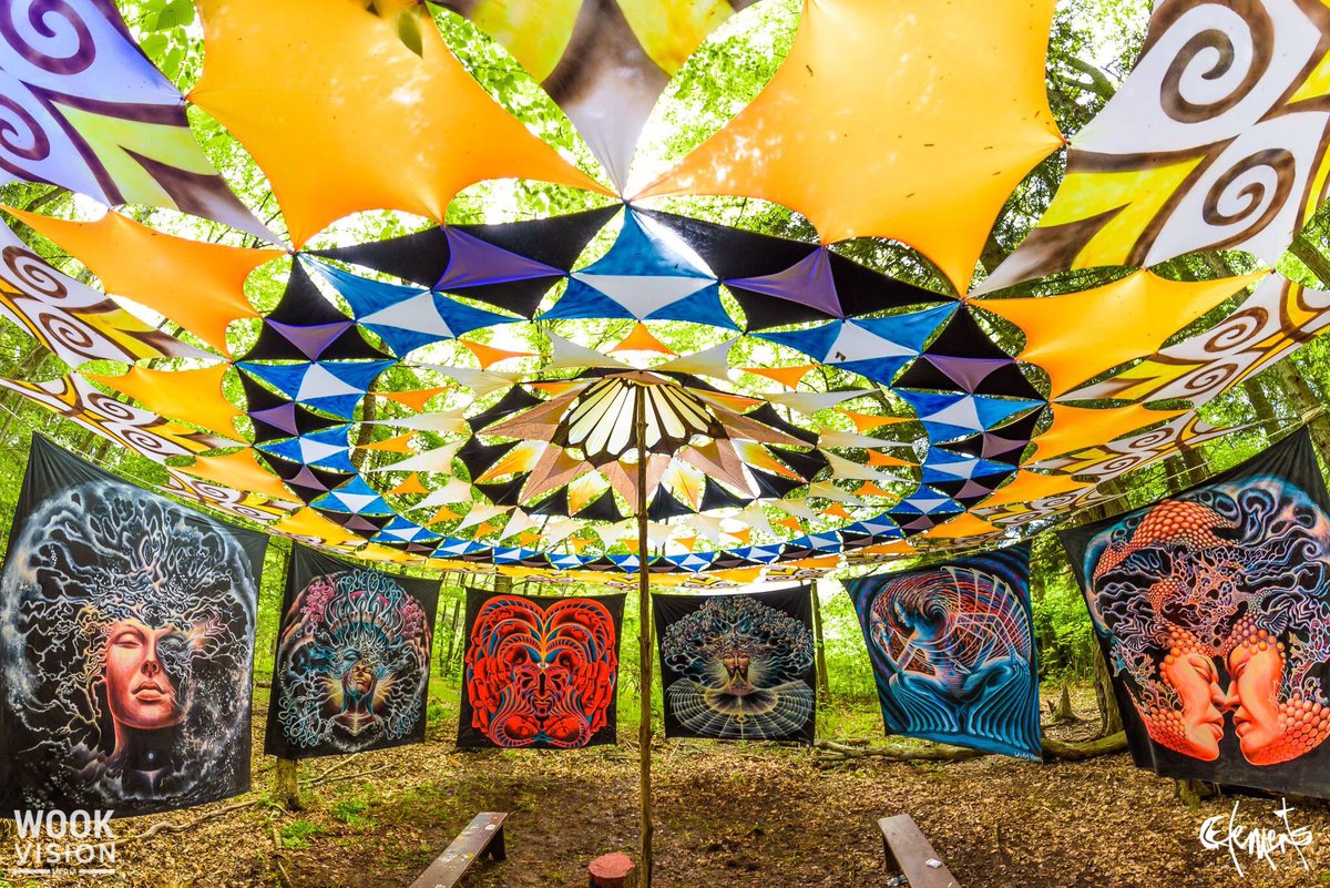 Wook Vision Media tweet media