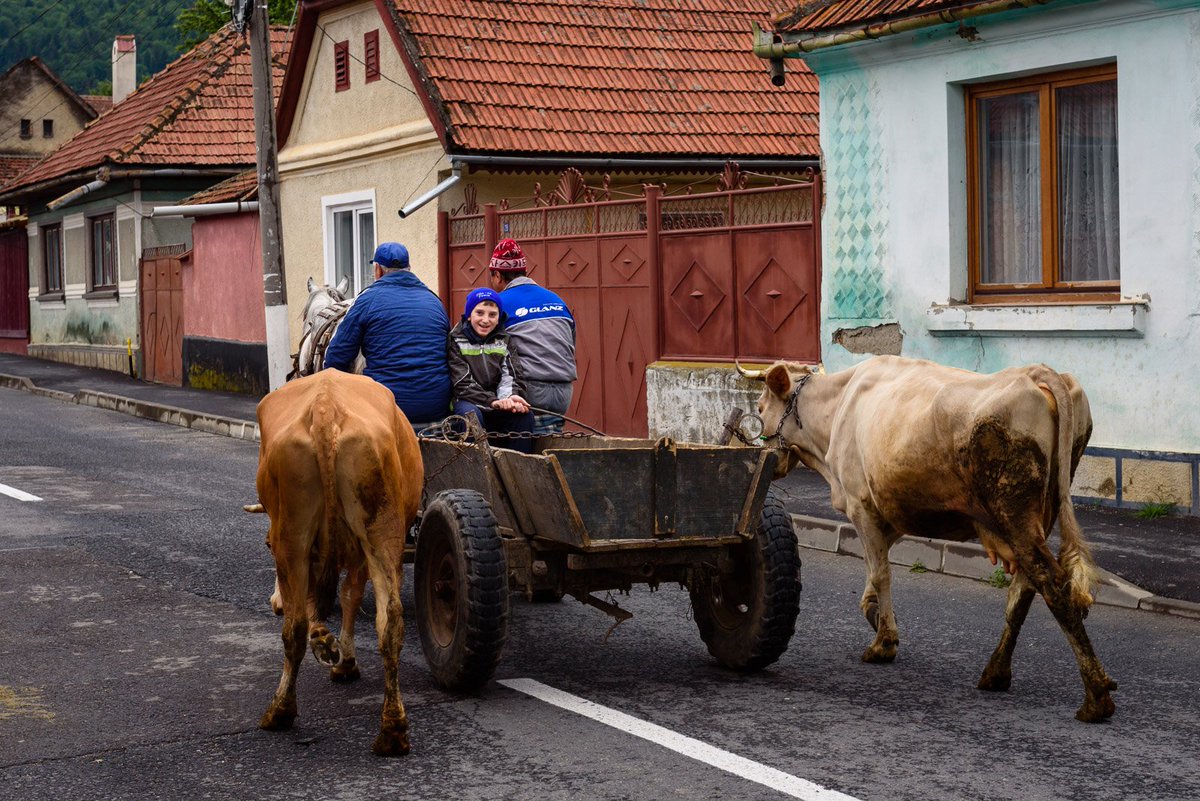 thdk90's tweet image. Day 2/10 in Transylvania thdk.be/travel/journal… [travel journal] #travel #romania #balkans #hitchhiking #trlt #explore #photography #nature