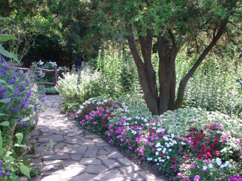 alyssaharad's tweet photo. The Shakespeare Garden in Central Park, courtesy of @CentralParkNYC. Long live the work and all its interpreters. #FlowerReport https://t.co/cQ5bM82X6k