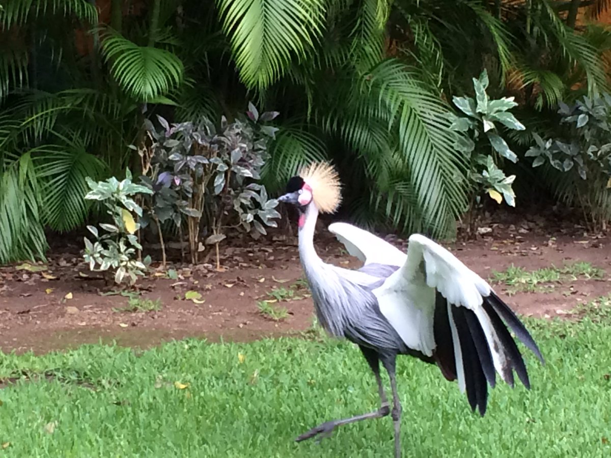 First vacation beer🍻🍻<a href="/JacobGrimes/">Jake</a> <a href="/DRE_Go_Fish/">Darrin Everitt</a> <a href="/badhopper/">Jason Hopper</a> 🍻🍻