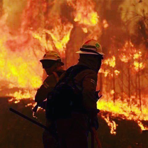 gustavoveradj's tweet photo. Contamos com toda a vossa Coragem, Empenho e Dedicação. Obrigado! 🙏🏻🚒💦🔥🔥🔥 #soldadosdapaz #bombeirosportugal #prayf… https://t.co/oHTEHLmtw6 https://t.co/zoG3pyBnsg
