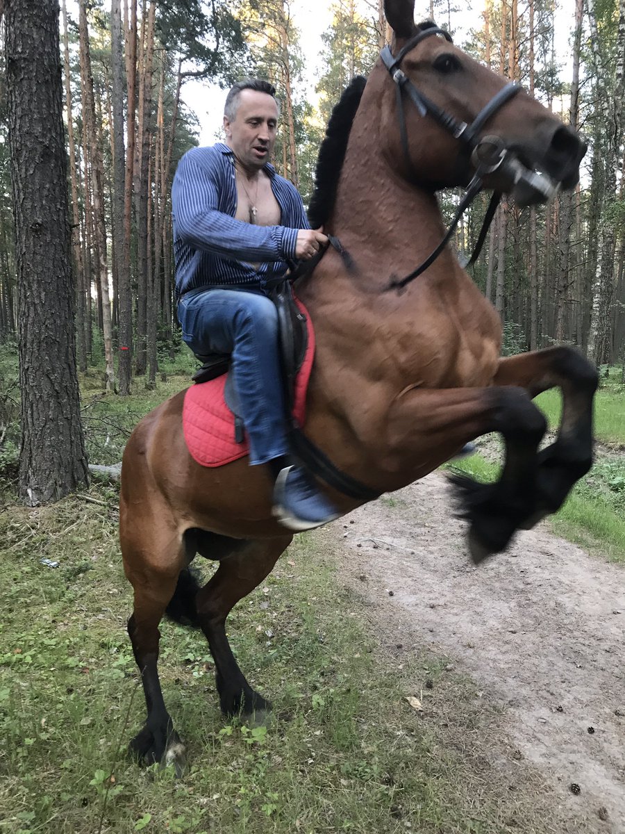 mikle73's tweet photo. Только мы с конем по полю пойдём . https://t.co/fFMIid4y0h