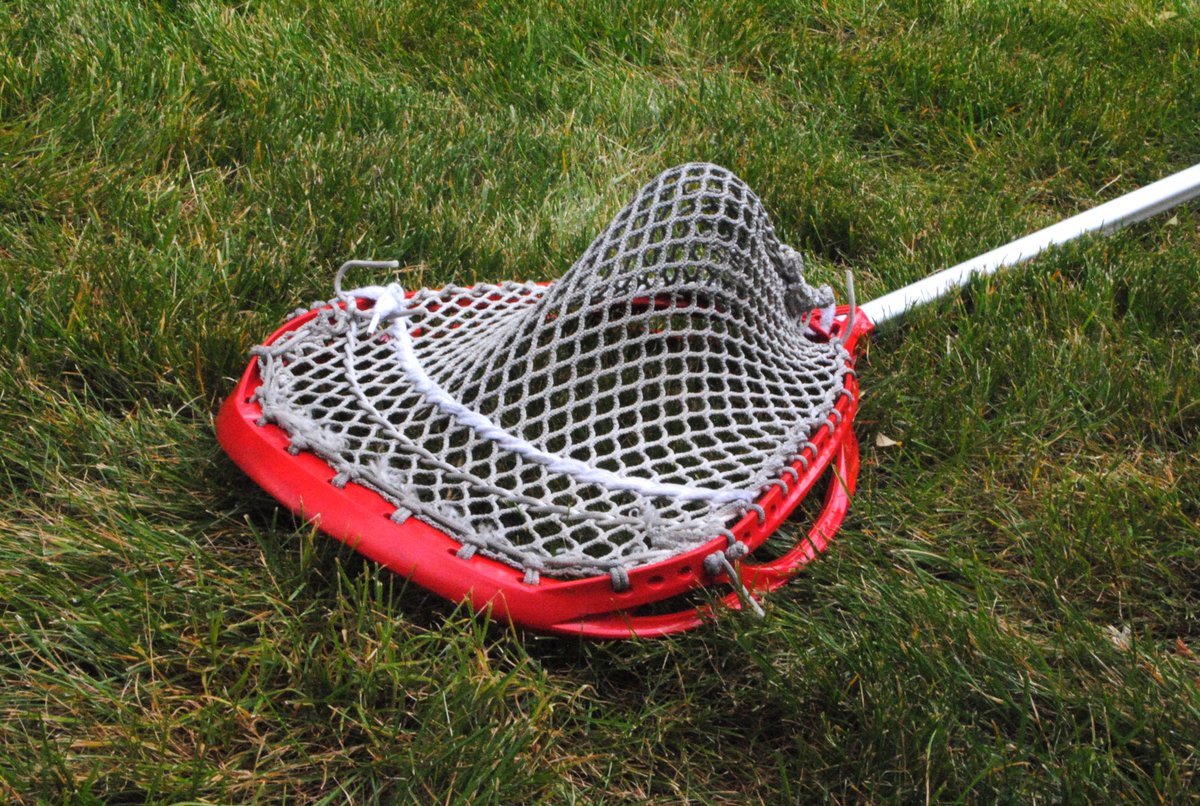 Bucky T. tweet media