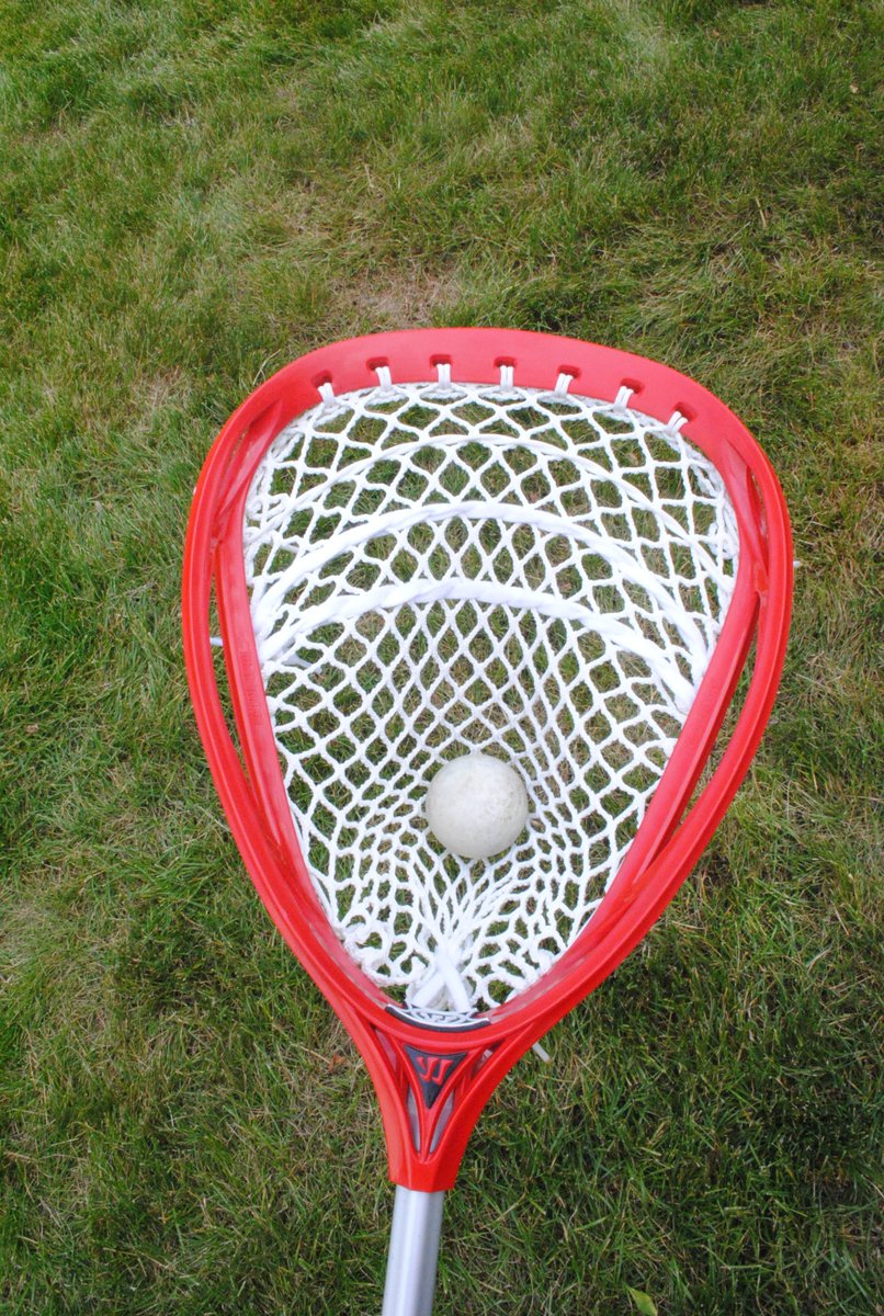 Bucky T. tweet media