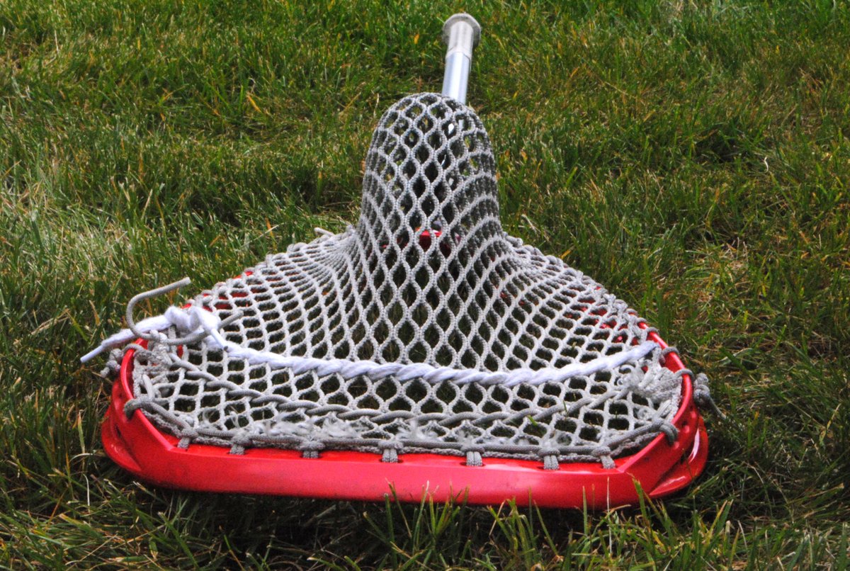 Bucky T. tweet media