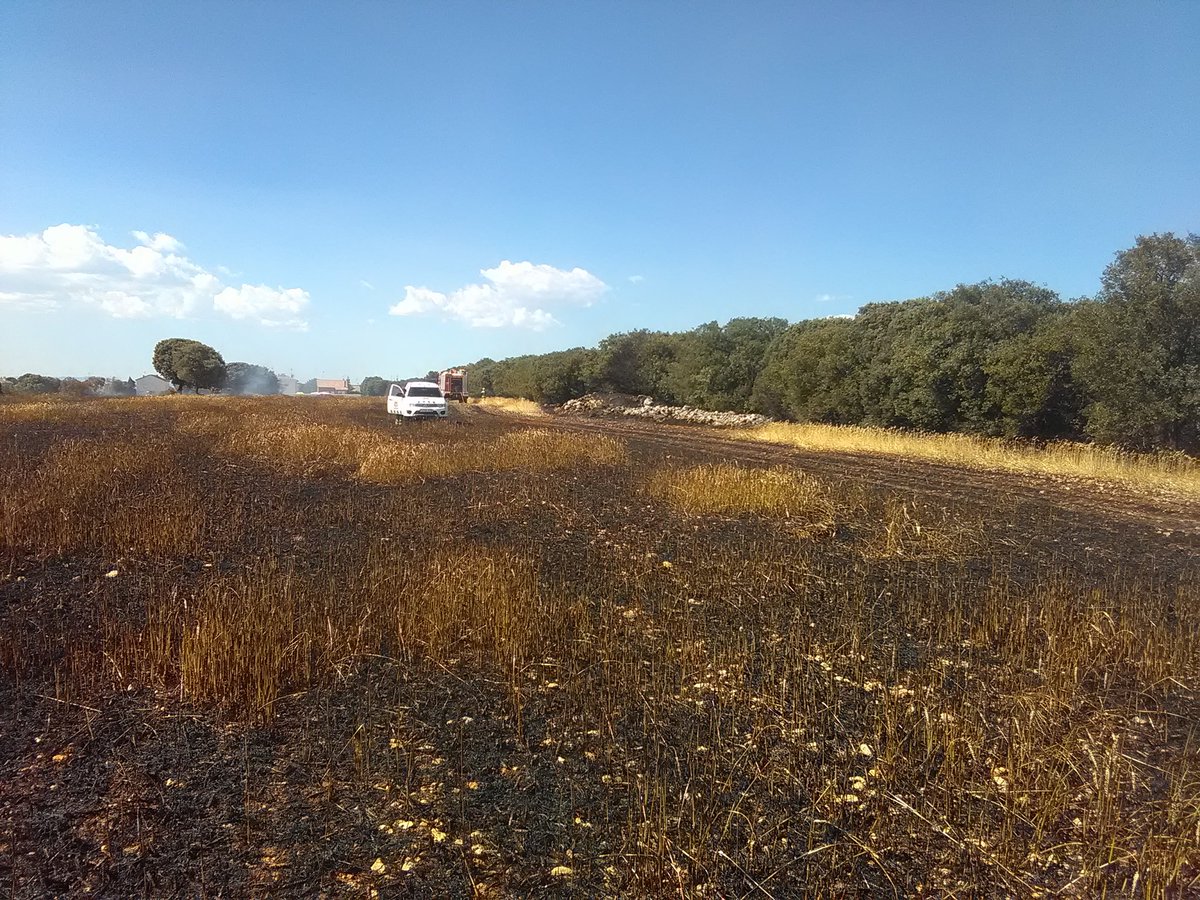 <a href="/CEISGuadalajara/">CEIS Guadalajara</a> <a href="/chilewildfires/">IncendiosForestales</a> #IFTrijueque Urb. #LaBeltraneja

Buen trabajo de todos los medios intervinientes del #INFOCAM
4has q afortunadamente han quedado en un susto