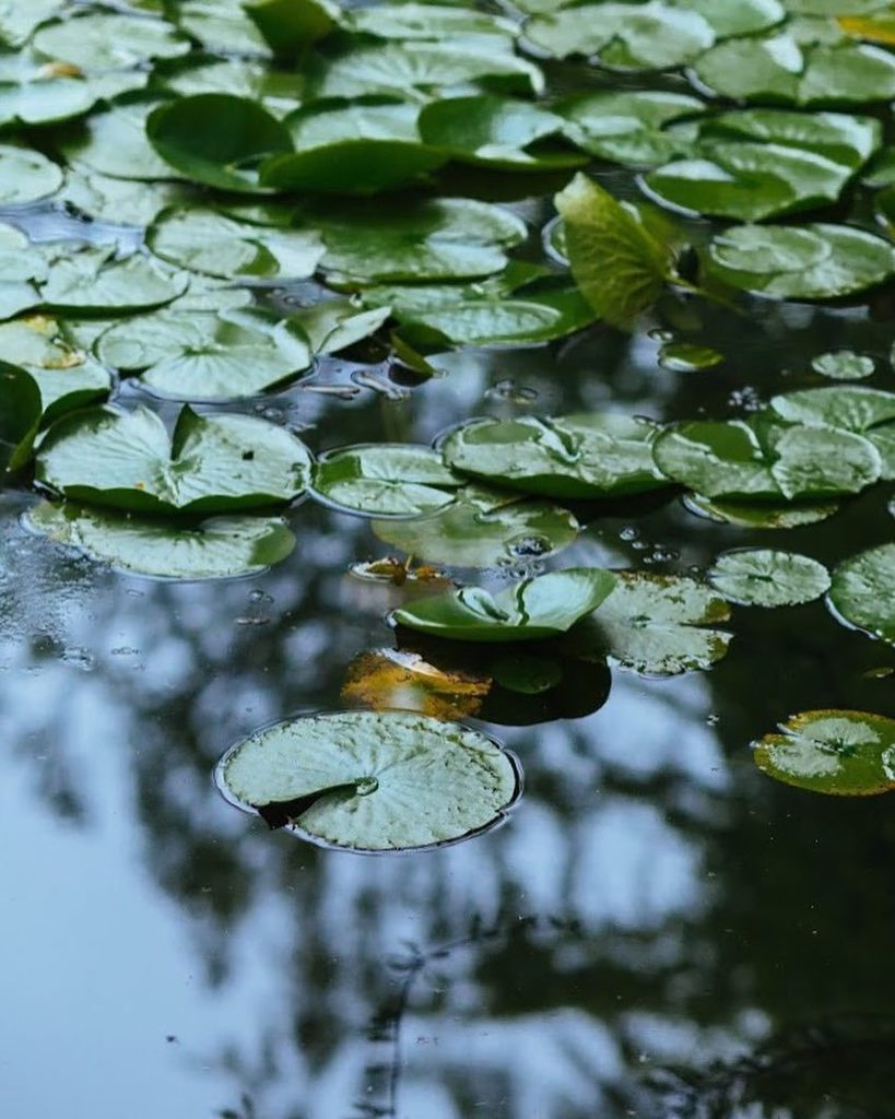 June #water #reflection ift.tt/2rFgILL