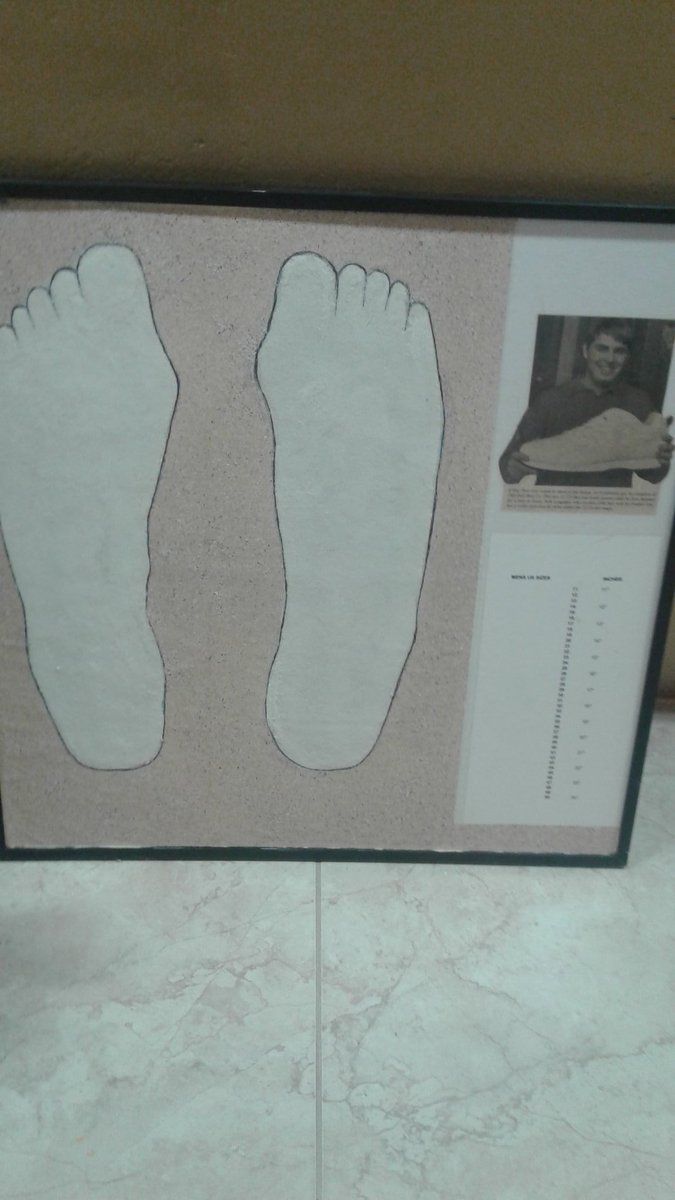 JonSosa8's tweet photo. Imagine your feet that large. #Wow https://t.co/BdIfSZ0lcQ