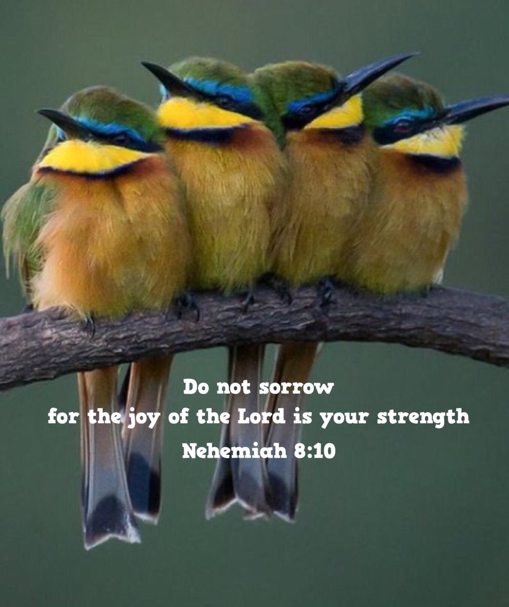HisChild77777's tweet photo. .@kukilicious @Tolefree_Vortex @2comingofjesus @Enrique65122959 @alzinadhlamini https://t.co/WvbGeeKiEB