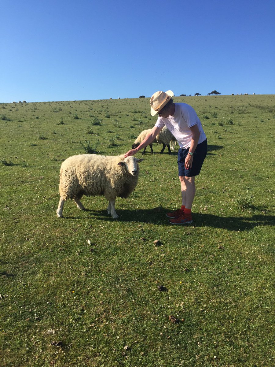 Mary had a little lamb