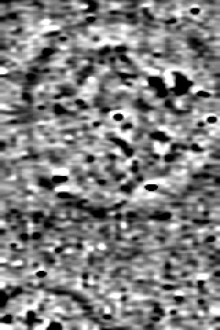 AvonValleyArch's tweet photo. Great results this weekend using @LoCATE_Survey gradiometer.  Showed mounds in field near Fordingbridge are probably barrows https://t.co/ZAHdu7MfDP