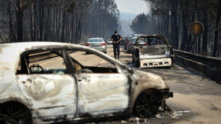 ポルトガル史上最大級の山火事 の背景には 熱波 落雷 ユーカリ 森さやか 個人 Yahoo ニュース