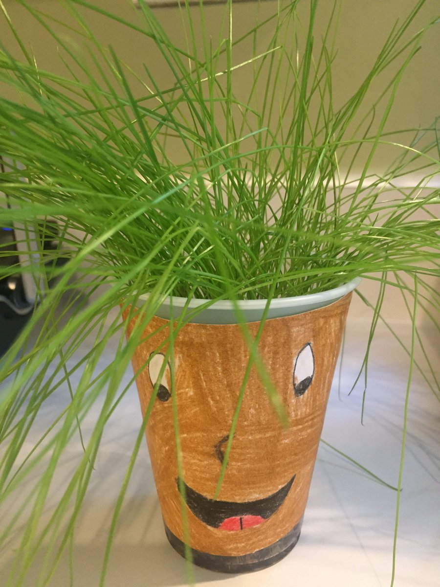 DICCSupport's tweet image. Gotta love homemade Father's Day gifts! Chia Dad!! #FathersDay2017 #CustodyConundrums #Fatherhood #DICC