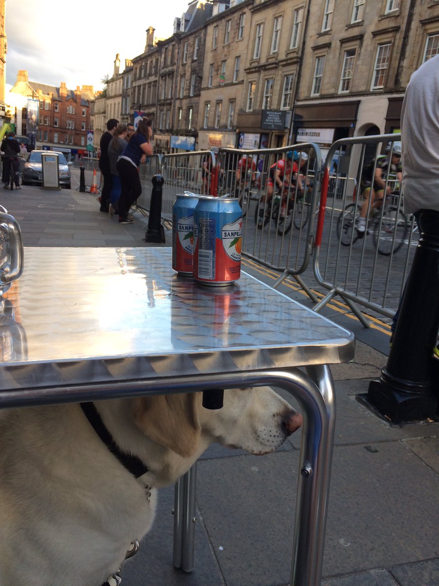 bhoy_joey's tweet photo. Pixie watching @castle_crit action under the table https://t.co/6SunzYSQg9