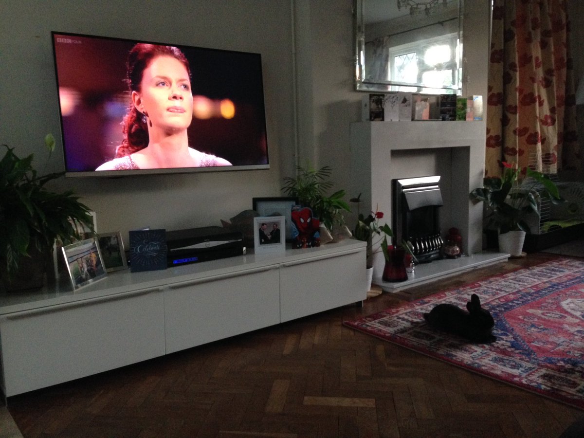 Tomlovestorun1's tweet photo. Cole is enjoying @cardiffsinger #calmrabbit #operabuff https://t.co/0aZnHCHgJR