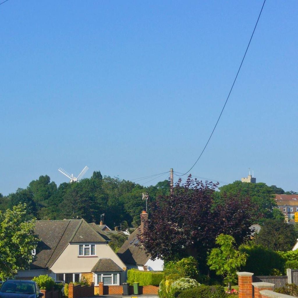 RickyRew's tweet photo. Rayleigh Windmill &amp; Holy Trinity peeking over the trees, as seen from Rookery Close... #rayleighwindmill #holytrin… https://t.co/Q1eCj6x2E4 https://t.co/WbOHmTawQ7