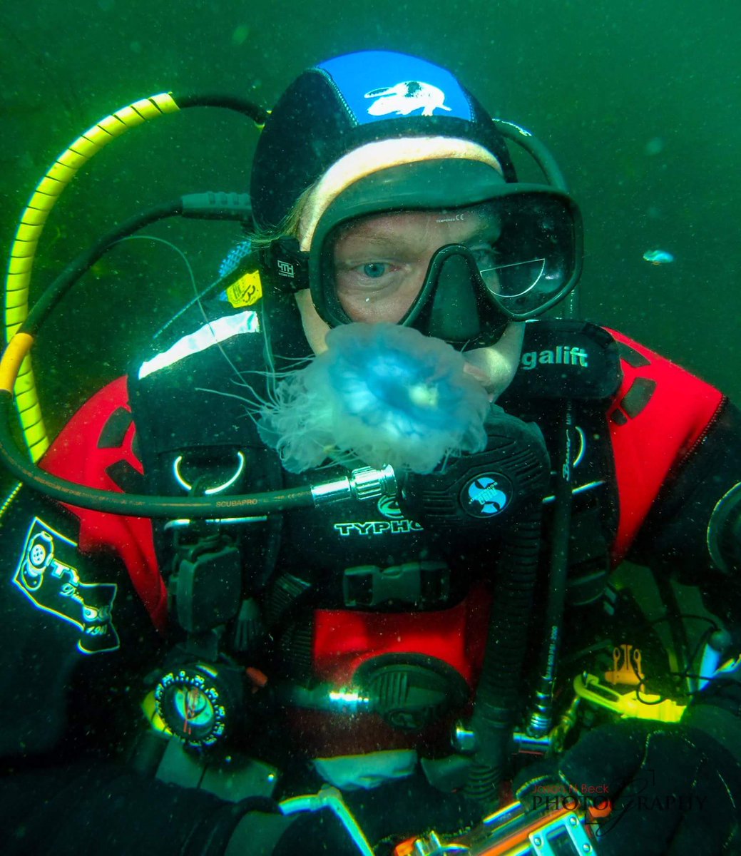 beck5ter's tweet photo. Excellent weekends diving @DavyDivers @SubAquaAssoc https://t.co/FyEH5ZY7OU