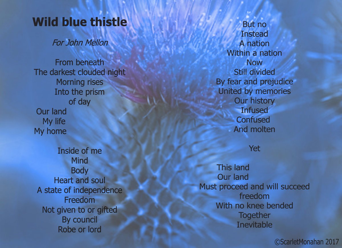 Wild Blue Thistle. #poetry #art #music #spokenword #poetrycypher 33