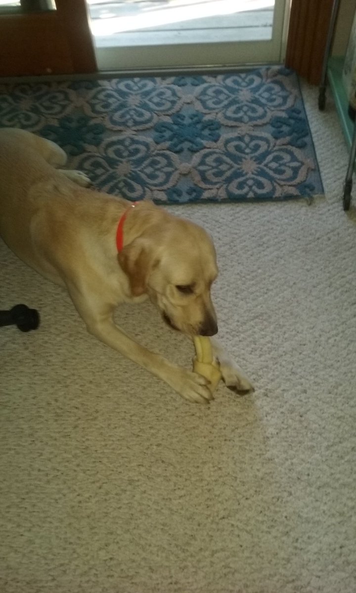 PlayerPat4's tweet image. 