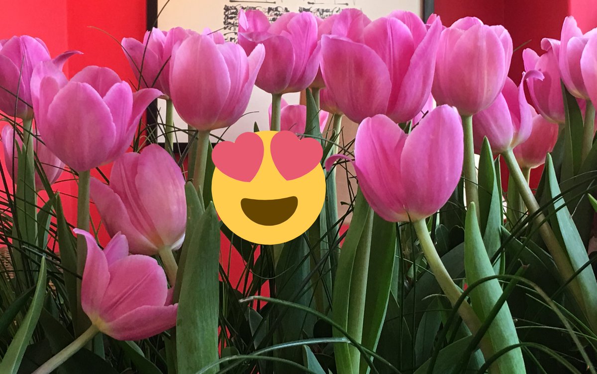 Gracias #JackelineAndere🌸por estás flores tan bellas y tus palabras de apoyo en el estreno de #undiaparticular🛴☕️💕🌸💕