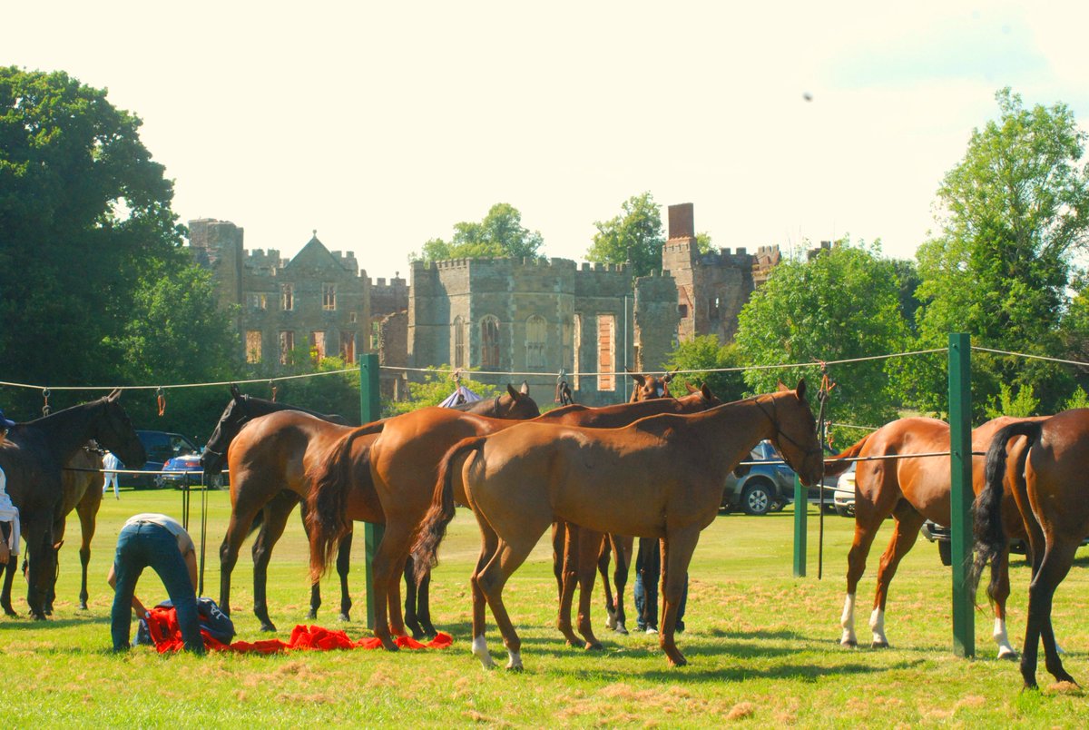 CowdrayEstate's tweet photo. #polo ponies following match at #riverground today @cowdraypolo @CowdrayHeritage makes a stunning backdrop #warmweather https://t.co/GT8OVoTv42