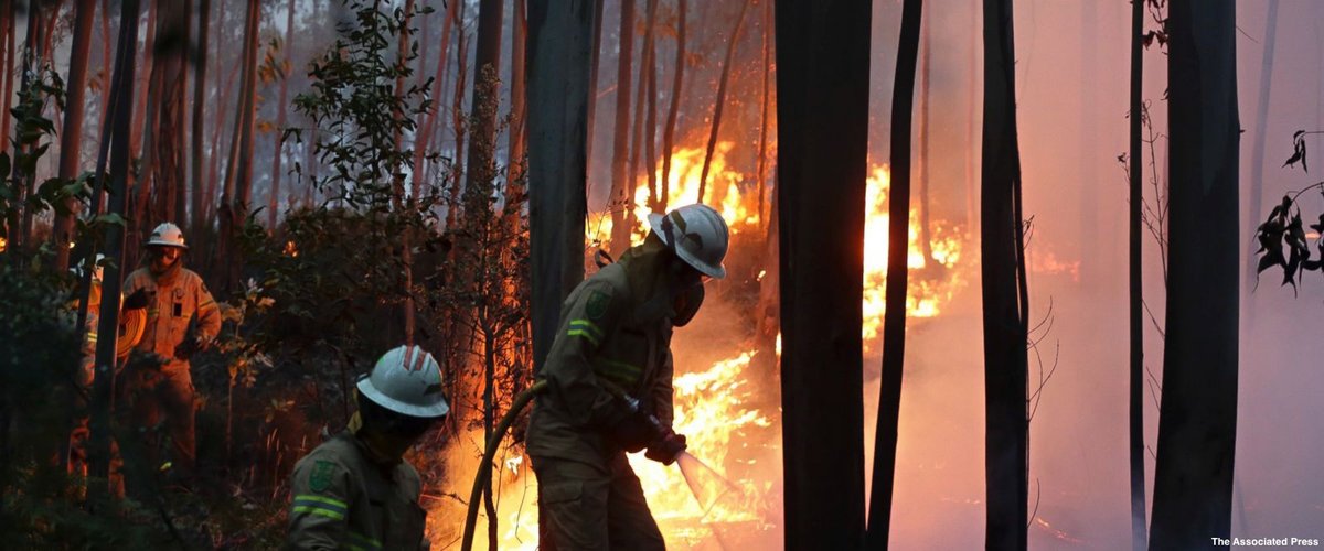 ABCPolitics's tweet photo. Forest fires in Portugal kill at least 58 in what the prime minister calls "biggest tragedy of human life" in years https://t.co/DIe2CFtyKJ https://t.co/iNXHIVw8n0