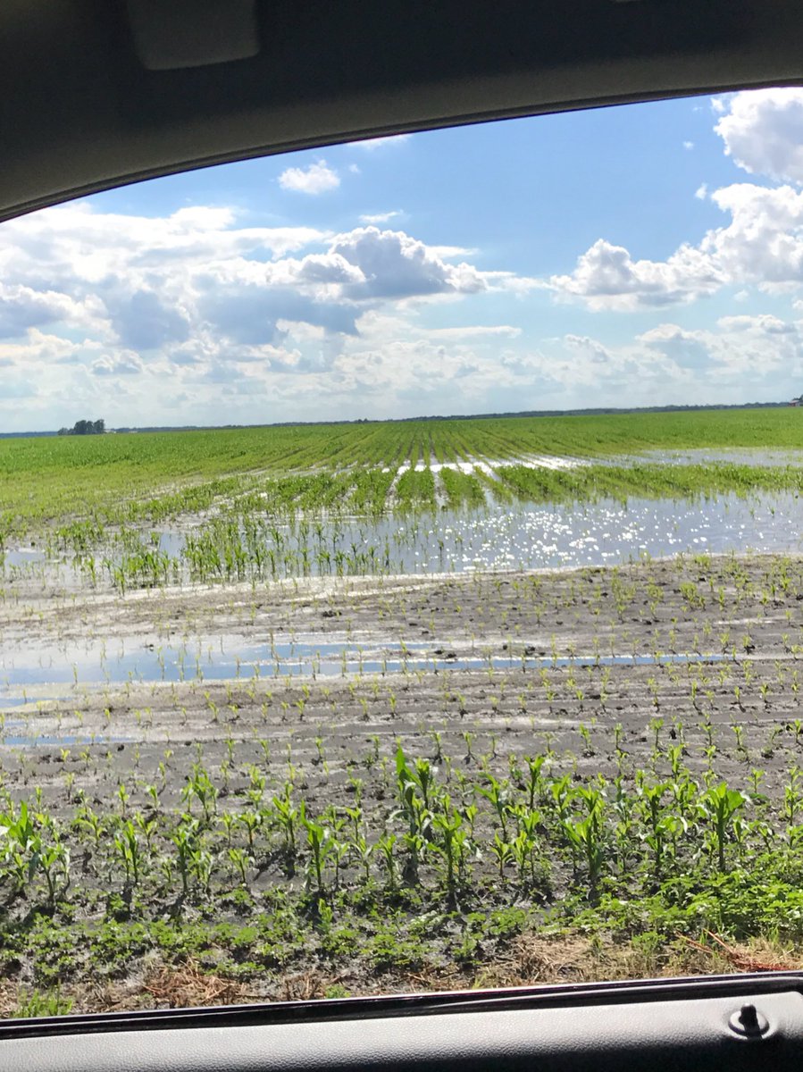 ebertgrainfarms's tweet photo. Why we won't hit 165 or 48+ nationally. Time to wake up from your bubble traders #corn #soybeans https://t.co/FVdFZy1hbF