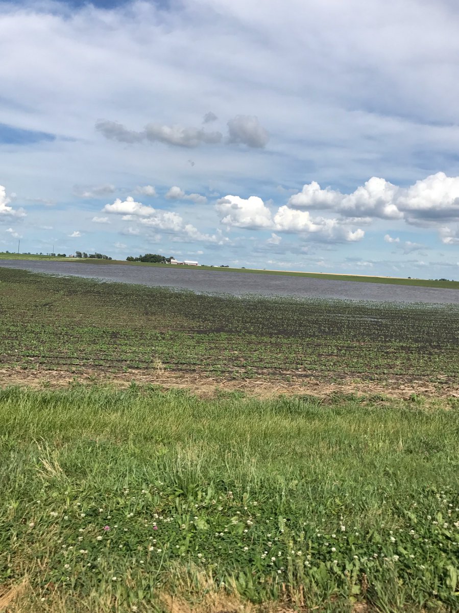 ebertgrainfarms's tweet photo. Why we won't hit 165 or 48+ nationally. Time to wake up from your bubble traders #corn #soybeans https://t.co/FVdFZy1hbF