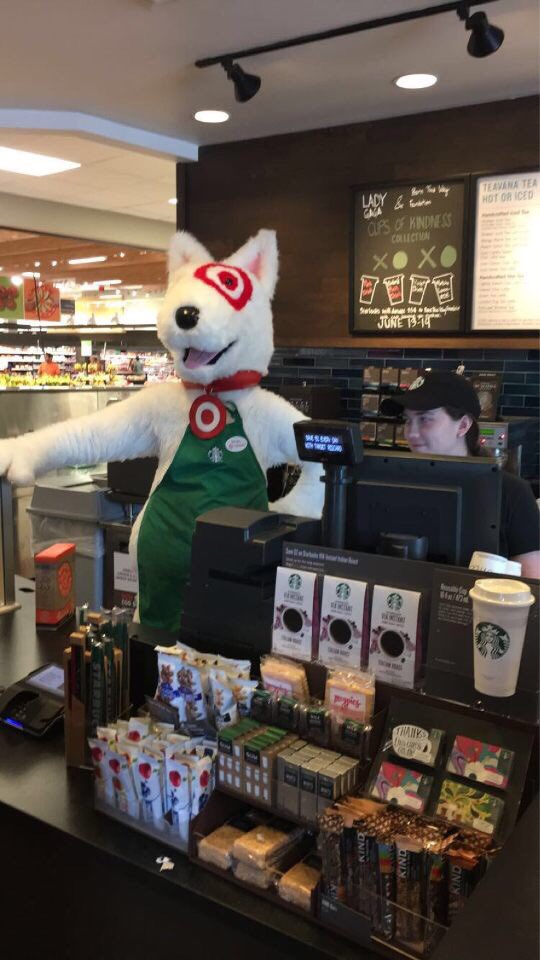 Derek Graham tweet media