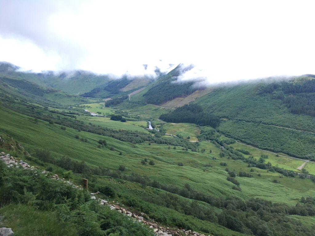 LUUMCC Alumni tweet media