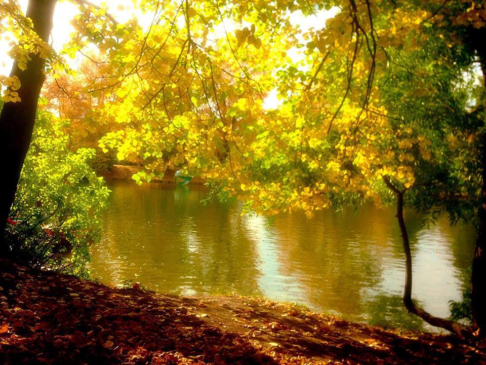 ziziosama2gmail's tweet photo. @LatofaOb @nabilhasan48 @AbdellahBeladel @SimplesmenteSyl @athavale_abhi @MARIALUISAMAR5 @hna631 @clementgzsm @henrirouen @Egg15E @yumiko842 @gracinhalara @nico_gaia @CARMENCASIN @ekenmehmetzeki @arwaq10 @elsufuen @DreamKissyo @Abumoha14473310 @Abomoha31857833 @dilruba_lees @Shumona13 @hussain_deborah @rezamihany1 @tuncay6969 @pantone213u @Alpha2468 @ahlalneciy @AneChaterine1 🌺🍃🌸Have a lovely night https://t.co/5IVb0H9Rfz