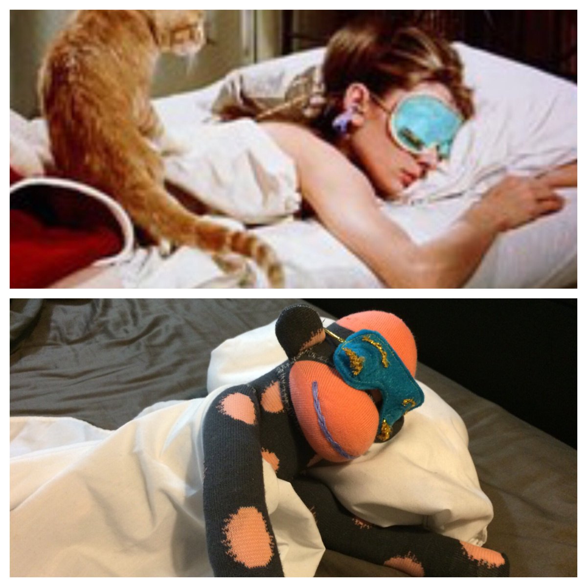 Jimmy's Monkeys tweet media