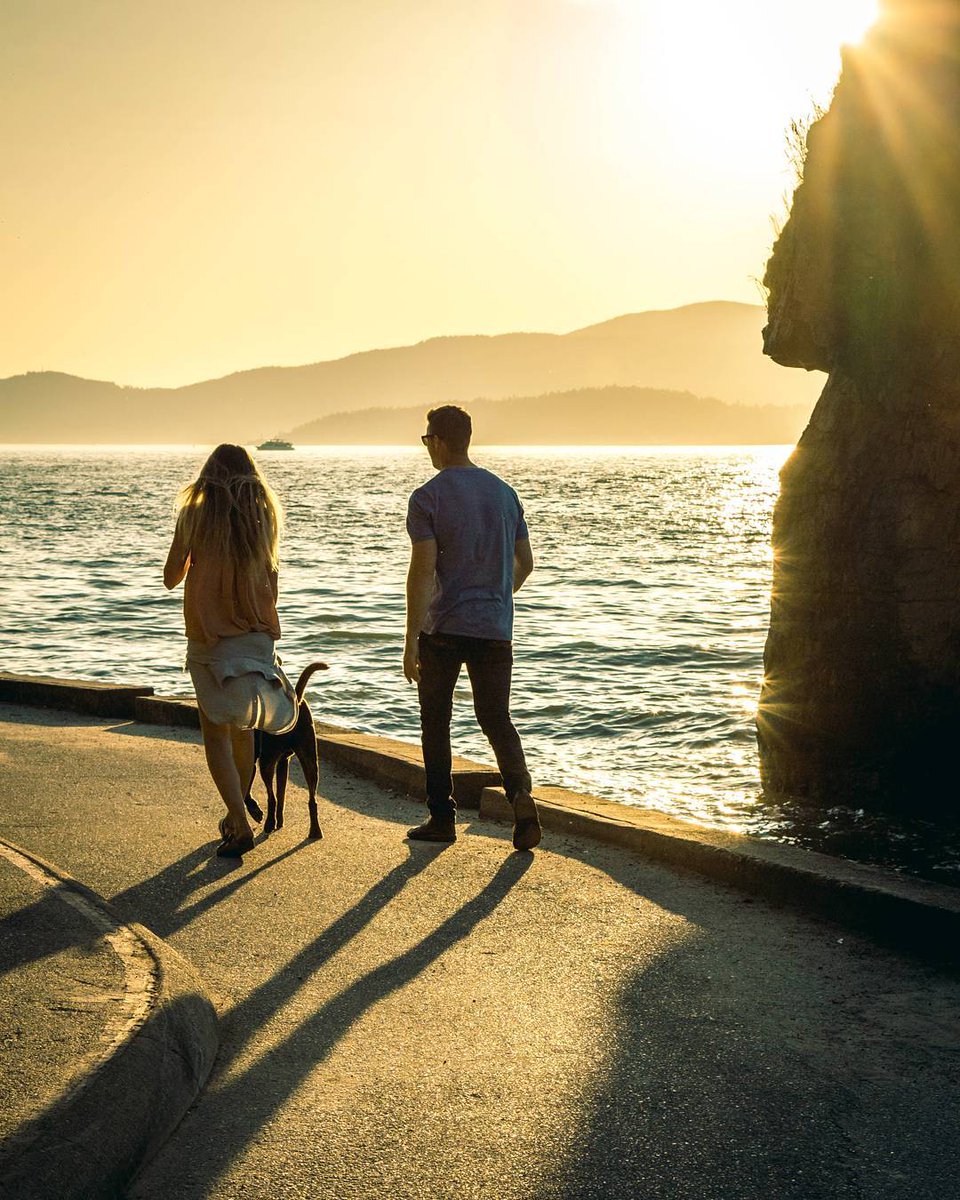 Family matters. #StanleyPark

📷: instagram.com/limitlessvisua…