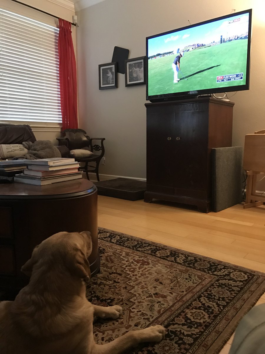 Timber wishes everyone a Happy Father’s Day!!! Hoping you get to relax with loved ones today.