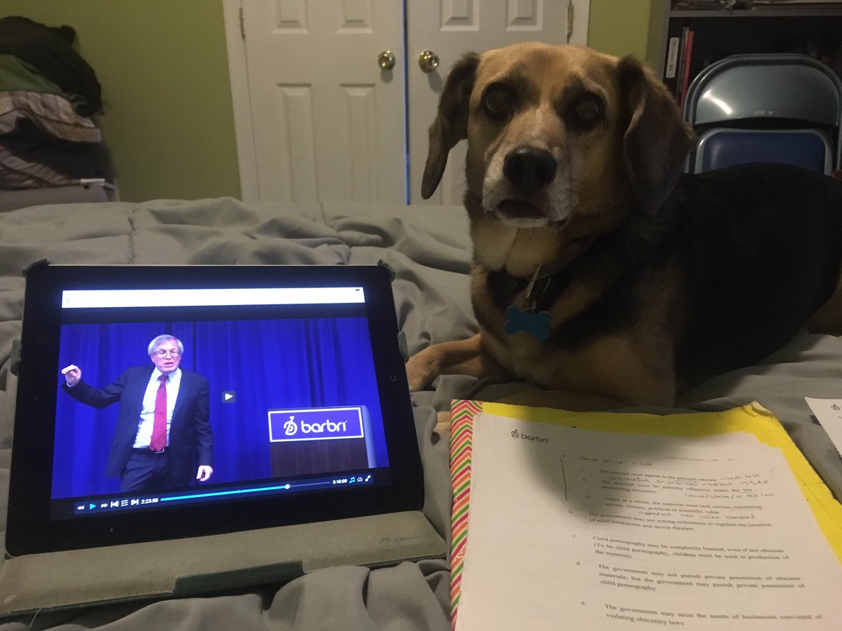Julebugs's tweet photo. Can we take a #BARBRIbreak please? #beagleGSD @barbri https://t.co/7fp6iXPFo4