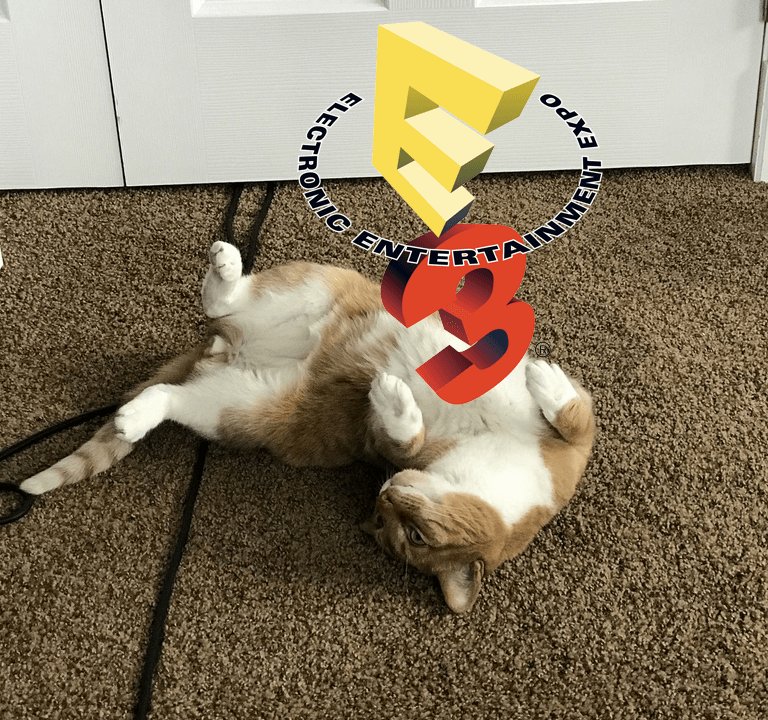 Some Other Castle tweet media